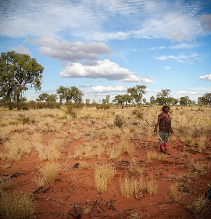 Weaving Culture 2 - Les Artistes d’Ikuntji : Voyage au cœur du désert central de l’Australie